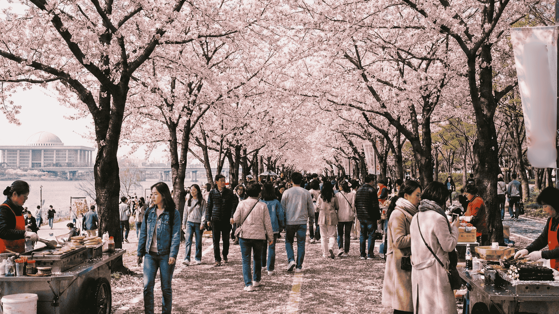 대규모 축제 보안 행사보안 벚꽃축제 여의도벚꽃축제보안 축제보안